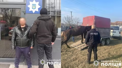 На Берегівщині затримали місцевого жителя, який бив та знущався з коня