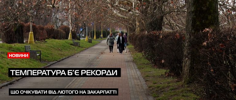 Зими стають дедалі теплішими: чи варто очікувати закарпатцям морози в лютому?