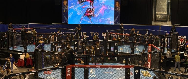 Троє спортсменів з Мукачева стали призерами чемпіонату Європи зі змішаних єдиноборств