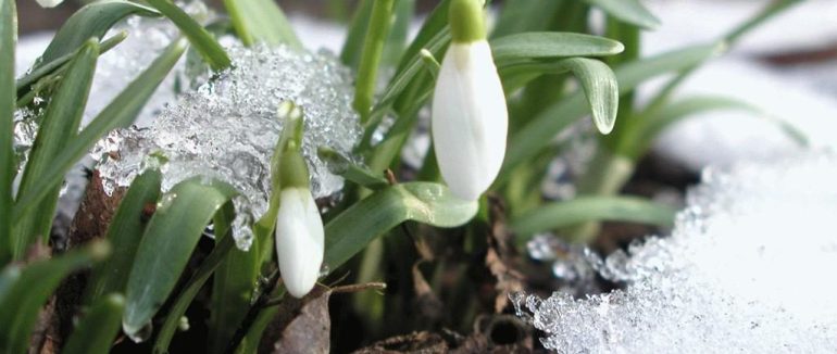 Цими вихідними на Закарпатті прогнозують до 18° тепла