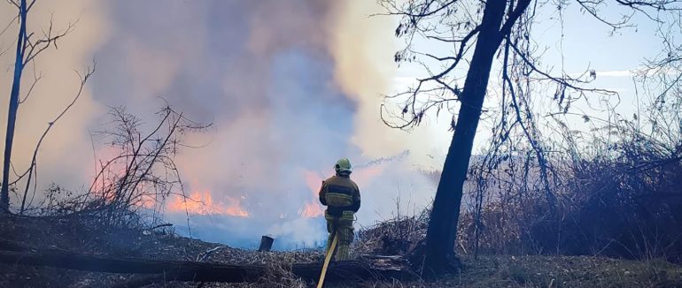 Майже 60 людей гасили масштабну пожежу на Закарпатті