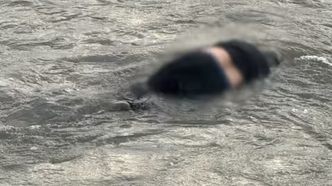 Прикордонники виявили у Тисі ще одного потопельника