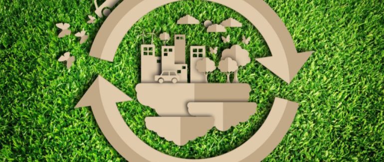 Екологічні ініціативи в Україні: як підтримати локальні проєкти