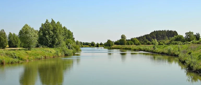На Тячівщині в річці виявили 49-річну потопельницю