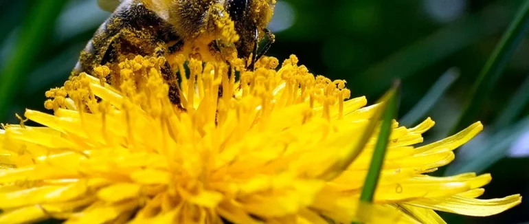 Гороскоп на 26 квітня для всіх знаків зодіаку: день, сприятливий для будь-яких земних справ