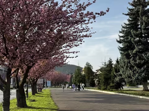 Цього тижня на Закарпатті прогнозують теплу погоду з грозами