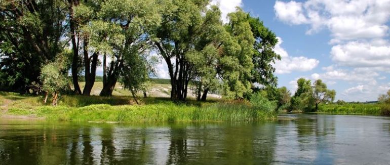 На Ужгородщині в річці виявили тіло 61-річного чоловіка