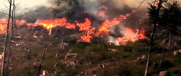 На Хустщині ліквідували пожежу на площі 12 гектарів