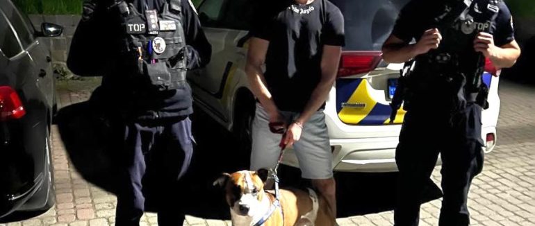 У Мукачеві ми повернули власнику його чотирилапого друга