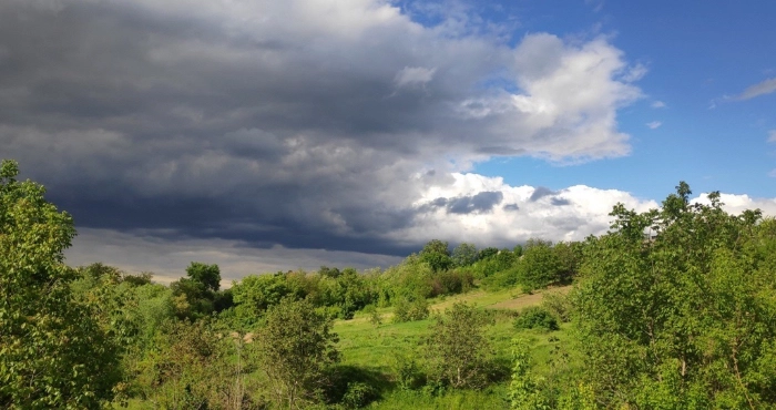 Грози та незначне похолодання: цього тижня на Закарпатті прогнозують хмарну погоду