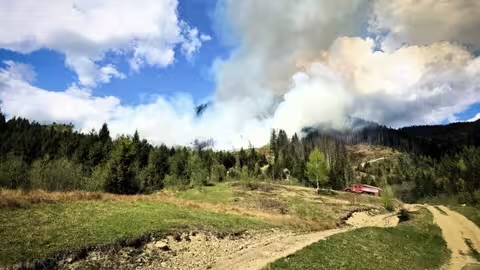 На більшій частині території Закарпаття оголосили надзвичайний рівень пожежної небезпеки