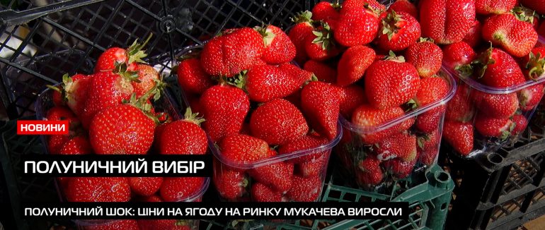 Полуниця на ринку Мукачева: ціни на ягоду шокують покупців (ВІДЕО)