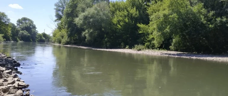 У річці Тиса на Закарпатті виявили потопельника