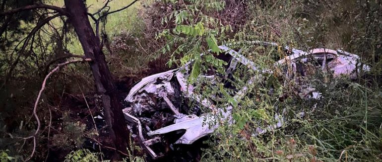 На Хустщині водій Tesla врізався у дерево, автівка згоріла вщент