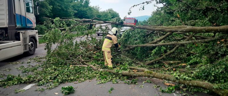 Негода на Закарпатті: вітер пошкодив будівлі, повалив дерева та знеструмив села