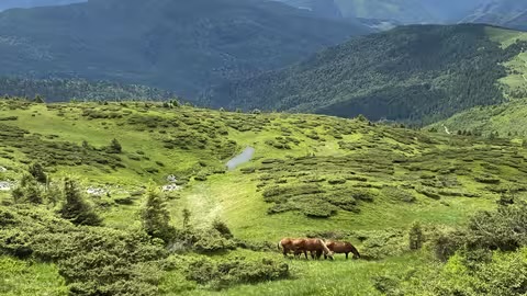 На Закарпатті прогнозують сонячні та спекотні вихідні