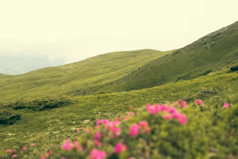 На Закарпатті прогнозують сонячну та теплу погоду цими вихідними