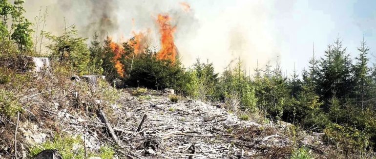 На території Закарпаття очікується надзвичайна пожежна небезпека