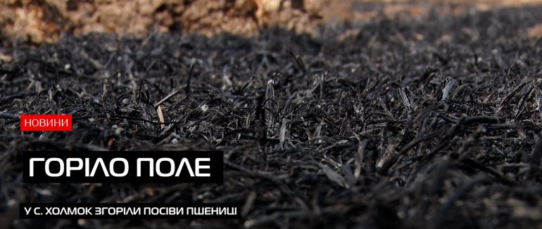 У селі Холмок на Ужгородщині сталася масштабна пожежа на полі: згоріла пшениця (ВІДЕО)