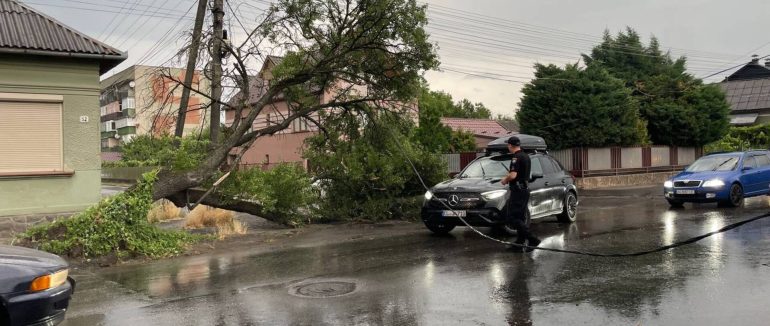 У Мукачеві негода повалила дерева та пошкодила електроопори