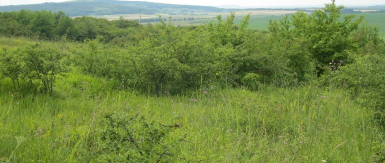 На Іршавщині під час пошуків виявили тіло чоловіка, який зник понад 10 днів тому