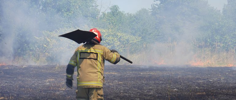 В Ужгороді через спалення сухостою ледь не загорілися житлові будинки