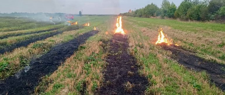 На Мукачівщині загинула жінка під час спалення сухої трави