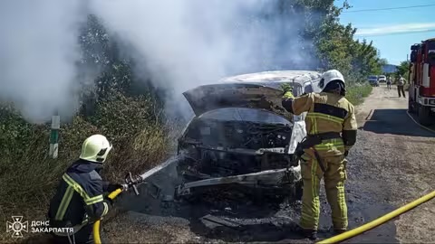 Поки закарпатець збирав гриби, у нього згоріла машина