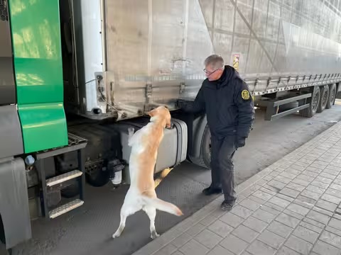 Чотирилапі митники на Закарпатті: собаки, які виявили наркотики, зброю та 30 тисяч євро