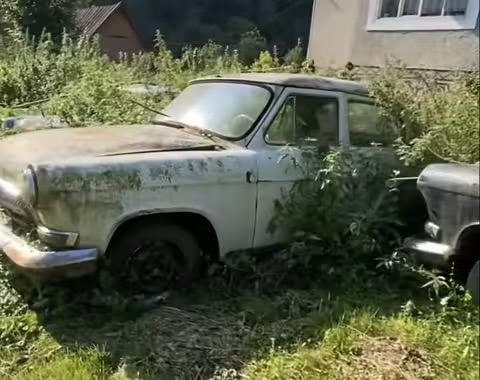 На Закарпатті знайшли «кладовище» покинутих ретро-автомобілів