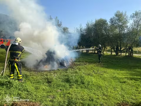 На Закарпатті рятувальники та лісівники відпрацювали гасіння лісової пожежі