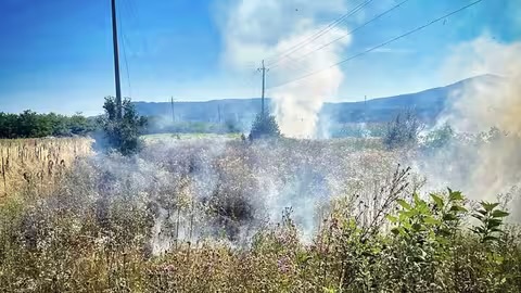 Протягом тижня на Закарпатті вигоріло майже 10 га сухостою