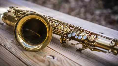 У Мукачеві виступили військовий оркестр «Едельвейс» та струнний ансамбль «Дивертисмент»