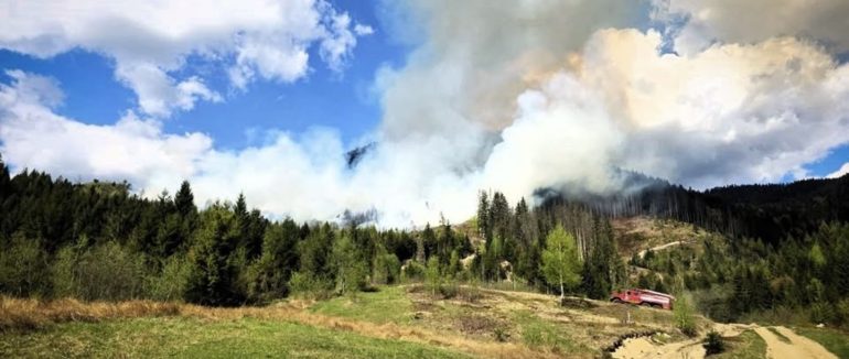 На Закарпатті місцева жителька спричинила масштабну лісову пожежу