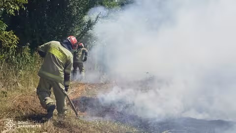 За добу на Закарпатті згоріло майже 2 гектари сухої трави