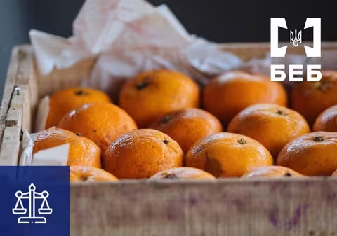 Спроба «заробити» на мандаринах: керівницю компанії на Закарпатті судитимуть за шахрайство з ПДВ