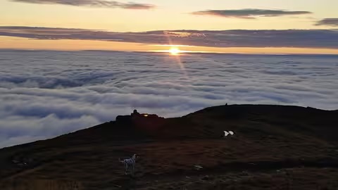 «Карпатське море»: неймовірний світанок на горі Піп Іван Чорногірський