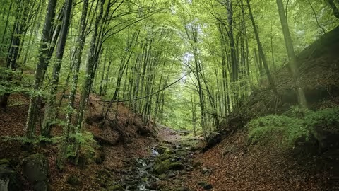 До Дня туризму у національному парку «Зачарований край» оголосили конкурс блогерів