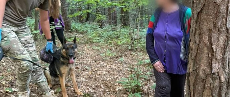 Поліцейський службовий собака Іві розшукав у лісі заблукалу жінку