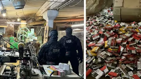 Замаскували сіном: неподалік Мукачева викрили підпільний тютюновий цех