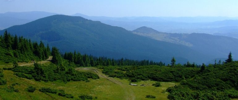 У Карпатах під час проходження туристичного маршруту травмувалася жінка