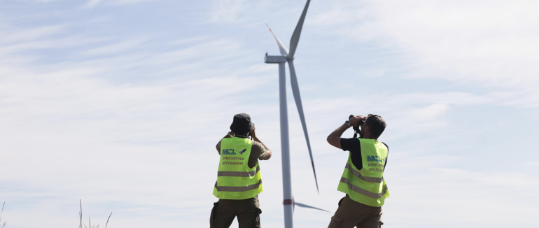 «Закарпатський вітропарк будується із дотриманням усіх екологічних вимог», – експерт Ярослав Ковган