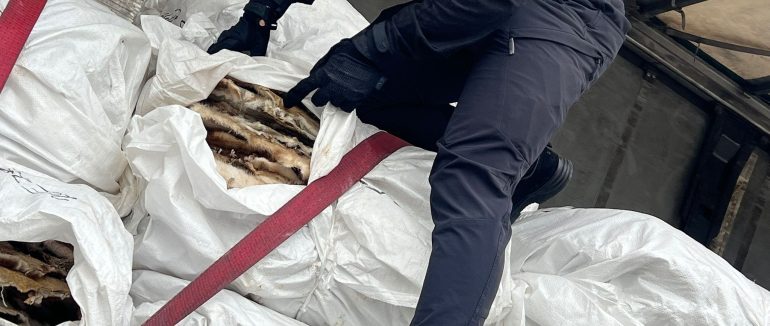 На митному посту «Ужгород» вилучили партію хутра вартістю близько $100 тисяч