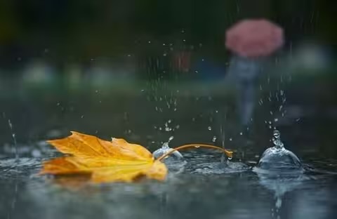 На Закарпатті вихідні пройдуть із дощем та похолоданням