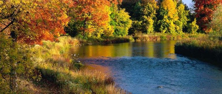 Бабиного літа не буде?: погода на Закарпатті до кінця місяця триматиметься на позначці 12-14 градусів
