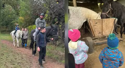 В Ужгороді організували інтенсив із психологічного відновлення для ветеранів