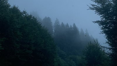 На Закарпатті тиждень буде хмарним, на високогір’ї прогнозують мокрий сніг