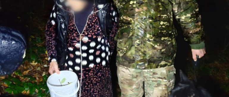 На Берегівщині службовий пес Кай розшукав 89-річну бабусю, яка пішла до лісу по гриби та заблукала  Джерело: https://zk.npu.gov.ua/news/na-berehivshchyni-sluzhbovyi-pes-kai-rozshukav-89-richnu-babusiu-iaka-pishla-do-lisu-po-hryby-ta-zablukala