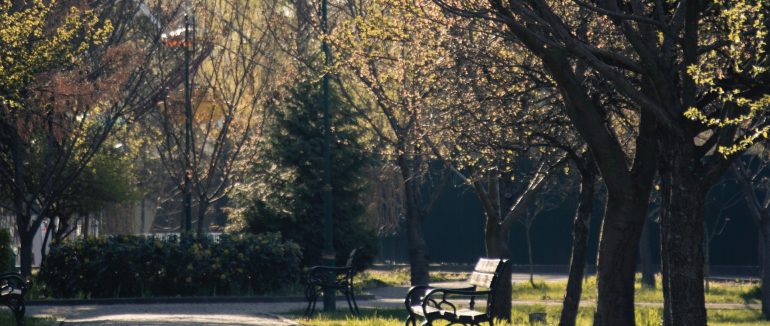 Цього тижня на Закарпатті буде сонячно і до 16° тепла
