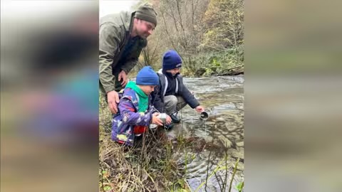 На Закарпатті у річку Ріка випустили 8 600 мальків струмкової форелі